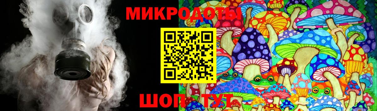 Якутск  Псилоцибиновые грибы Psilocybe  Вход с VPN 