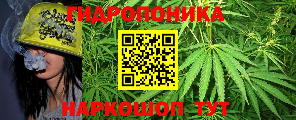 Шишки марихуана индика  Канабис планчик  Вход с VPN  Каннабис гибрид  Якутск 
